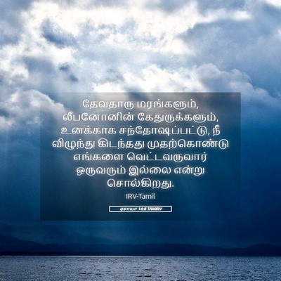 Picture 05 - ஏசாயா 14:8 TAMIRV - தேவதாரு - Bible Verse Picture