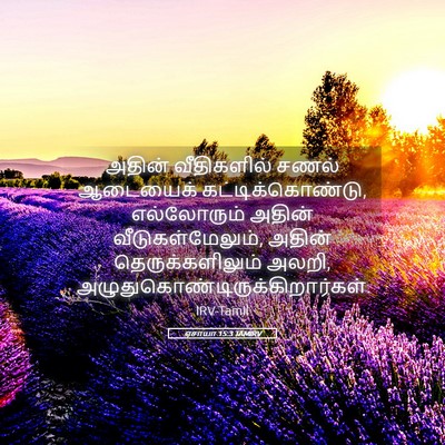 Picture 05 - ஏசாயா 15:3 TAMIRV - அதின் வீதிகளில் - Bible Verse Picture