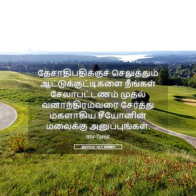 Picture 05 - ஏசாயா 16:1 TAMIRV - தேசாதிபதிக்குச் - Bible Verse Picture
