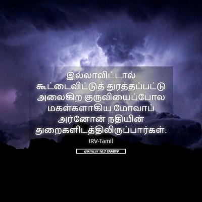 Picture 05 - ஏசாயா 16:2 TAMIRV - இல்லாவிட்டால் - Bible Verse Picture