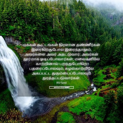 Picture 05 - ஏசாயா 17:13 TAMIRV - மக்கள் கூட்டங்கள் - Bible Verse Picture