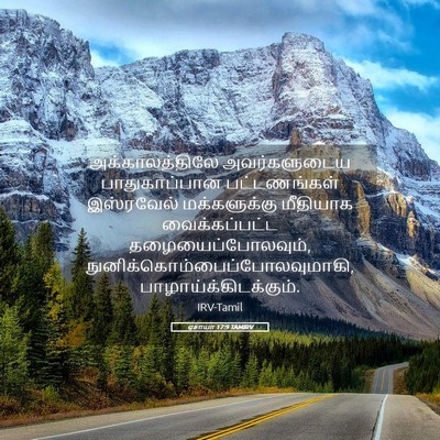 Picture 05 - ஏசாயா 17:9 TAMIRV - அக்காலத்திலே - Bible Verse Picture