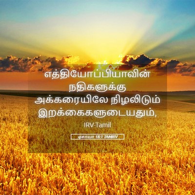 Picture 05 - ஏசாயா 18:1 TAMIRV -  - Bible Verse Picture