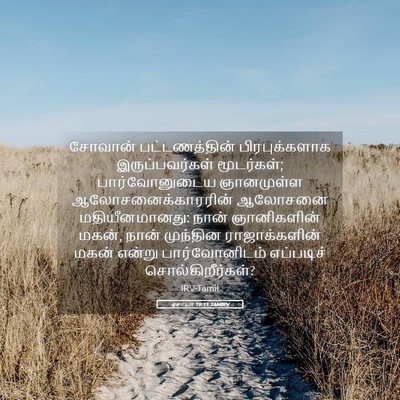 Picture 05 - ஏசாயா 19:11 TAMIRV - சோவான் - Bible Verse Picture