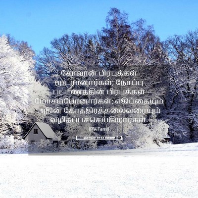 Picture 05 - ஏசாயா 19:13 TAMIRV - சோவான் பிரபுக்கள் - Bible Verse Picture