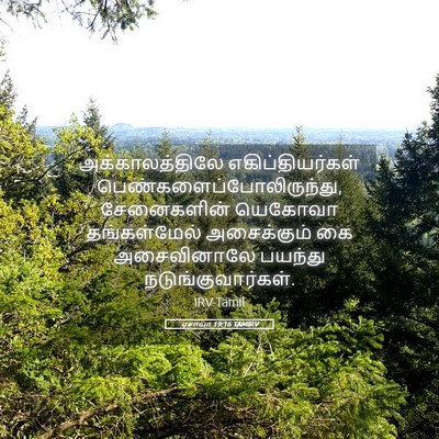 Picture 05 - ஏசாயா 19:16 TAMIRV - அக்காலத்திலே - Bible Verse Picture