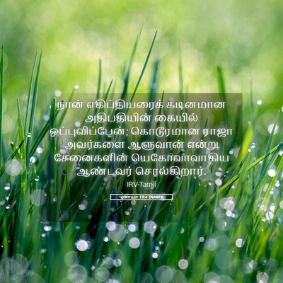 Picture 05 - ஏசாயா 19:4 TAMIRV - நான் எகிப்தியரைக் - Bible Verse Picture