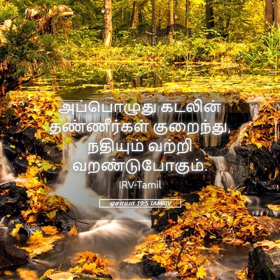 Picture 05 - ஏசாயா 19:5 TAMIRV - அப்பொழுது கடலின் - Bible Verse Picture
