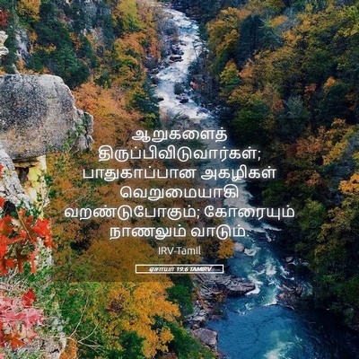 Picture 05 - ஏசாயா 19:6 TAMIRV - ஆறுகளைத் - Bible Verse Picture