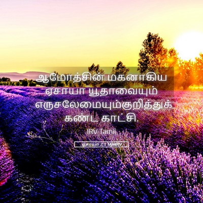 Picture 05 - ஏசாயா 2:1 TAMIRV - ஆமோத்சின் மகனாகிய - Bible Verse Picture
