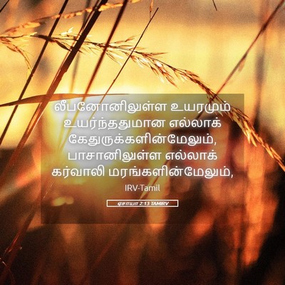 Picture 05 - ஏசாயா 2:13 TAMIRV - லீபனோனிலுள்ள - Bible Verse Picture