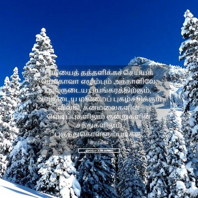 Picture 05 - ஏசாயா 2:20 TAMIRV - பூமியைத் - Bible Verse Picture