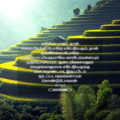 Picture 05 - ஏசாயா 20:4 TAMIRV - அசீரியா ராஜா, தான் - Bible Verse Picture