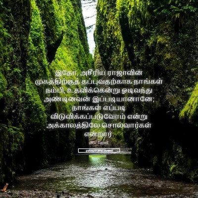 Picture 05 - ஏசாயா 20:6 TAMIRV - இதோ, அசீரிய - Bible Verse Picture