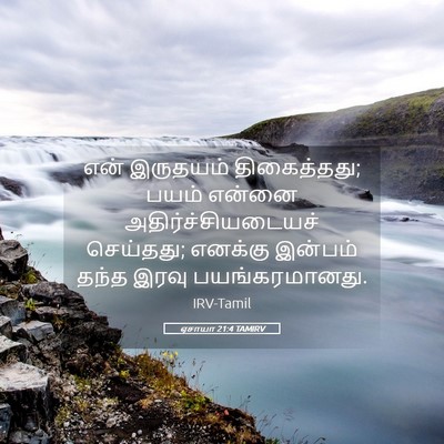 Picture 05 - ஏசாயா 21:4 TAMIRV - என் இருதயம் - Bible Verse Picture