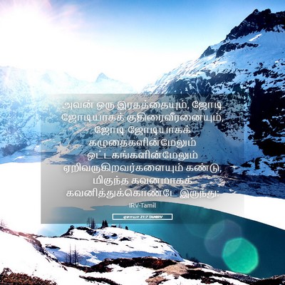 Picture 05 - ஏசாயா 21:7 TAMIRV - அவன் ஒரு - Bible Verse Picture