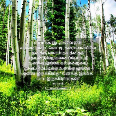 Picture 05 - ஏசாயா 22:16 TAMIRV - உயர்ந்த இடத்திலே - Bible Verse Picture