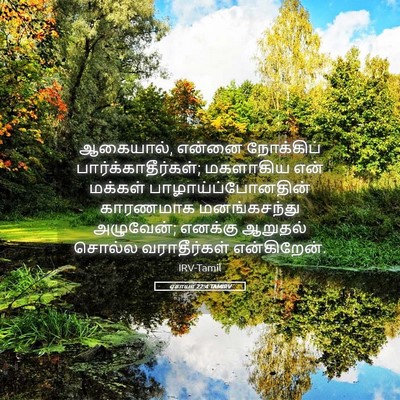 Picture 05 - ஏசாயா 22:4 TAMIRV - ஆகையால், என்னை - Bible Verse Picture