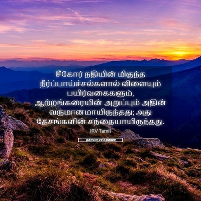 Picture 05 - ஏசாயா 23:3 TAMIRV - சீகோர் நதியின் - Bible Verse Picture
