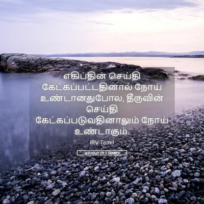 Picture 05 - ஏசாயா 23:5 TAMIRV - எகிப்தின் செய்தி - Bible Verse Picture