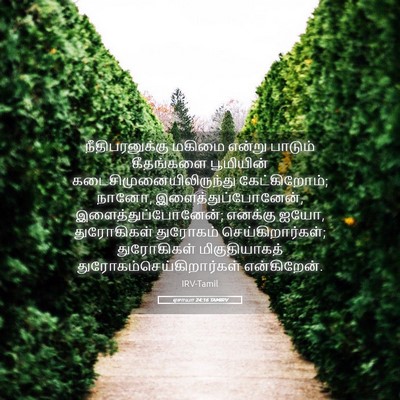 Picture 05 - ஏசாயா 24:16 TAMIRV - நீதிபரனுக்கு - Bible Verse Picture