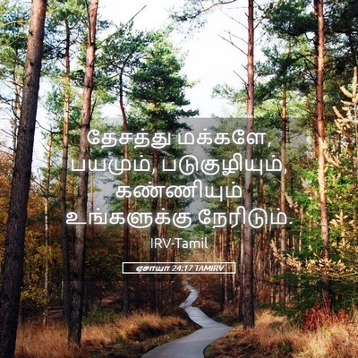Picture 05 - ஏசாயா 24:17 TAMIRV - தேசத்து மக்களே, - Bible Verse Picture