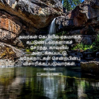 Picture 05 - ஏசாயா 24:22 TAMIRV - அவர்கள் கெபியில் - Bible Verse Picture