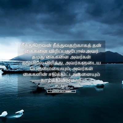 Picture 05 - ஏசாயா 25:11 TAMIRV - நீந்துகிறவன் - Bible Verse Picture