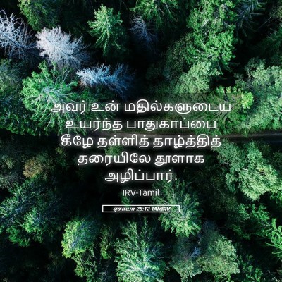 Picture 05 - ஏசாயா 25:12 TAMIRV - அவர் உன் - Bible Verse Picture