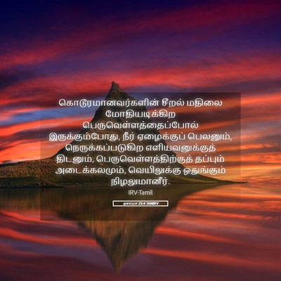 Picture 05 - ஏசாயா 25:4 TAMIRV - கொடூரமானவர்களின் - Bible Verse Picture