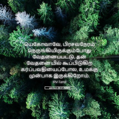 Picture 05 - ஏசாயா 26:17 TAMIRV - யெகோவாவே, - Bible Verse Picture