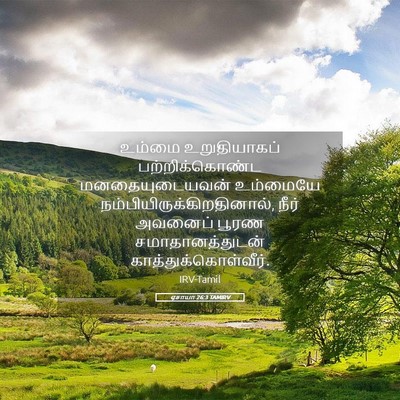 Picture 05 - ஏசாயா 26:3 TAMIRV - உம்மை உறுதியாகப் - Bible Verse Picture