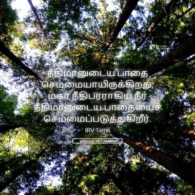 Picture 05 - ஏசாயா 26:7 TAMIRV - நீதிமானுடைய பாதை - Bible Verse Picture