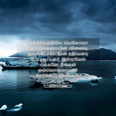 Picture 05 - ஏசாயா 27:12 TAMIRV - அக்காலத்திலே, - Bible Verse Picture