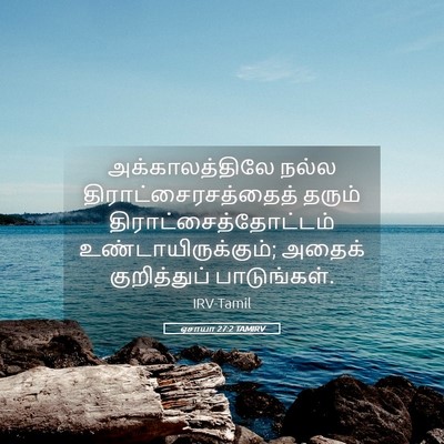 Picture 05 - ஏசாயா 27:2 TAMIRV - அக்காலத்திலே நல்ல - Bible Verse Picture