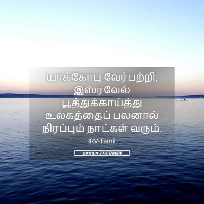 Picture 05 - ஏசாயா 27:6 TAMIRV - யாக்கோபு - Bible Verse Picture