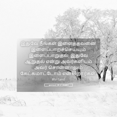 Picture 05 - ஏசாயா 28:12 TAMIRV - இதுவே நீங்கள் - Bible Verse Picture