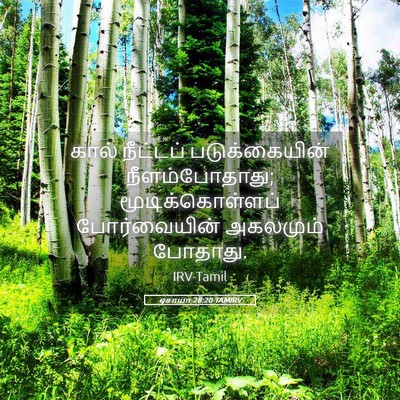 Picture 05 - ஏசாயா 28:20 TAMIRV - கால் நீட்டப் - Bible Verse Picture