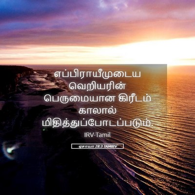 Picture 05 - ஏசாயா 28:3 TAMIRV - எப்பிராயீமுடைய - Bible Verse Picture