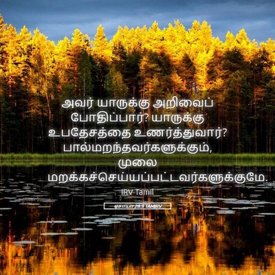 Picture 05 - ஏசாயா 28:9 TAMIRV - அவர் யாருக்கு - Bible Verse Picture