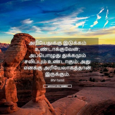 Picture 05 - ஏசாயா 29:2 TAMIRV - அரியேலுக்கு - Bible Verse Picture