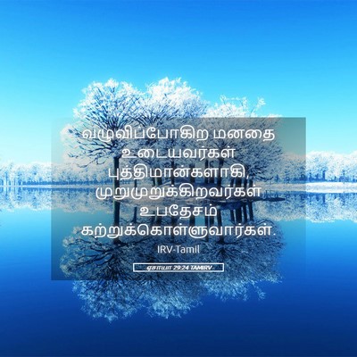 Picture 05 - ஏசாயா 29:24 TAMIRV - வழுவிப்போகிற மனதை - Bible Verse Picture