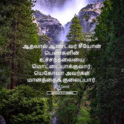 Picture 05 - ஏசாயா 3:17 TAMIRV - ஆதலால் ஆண்டவர் - Bible Verse Picture