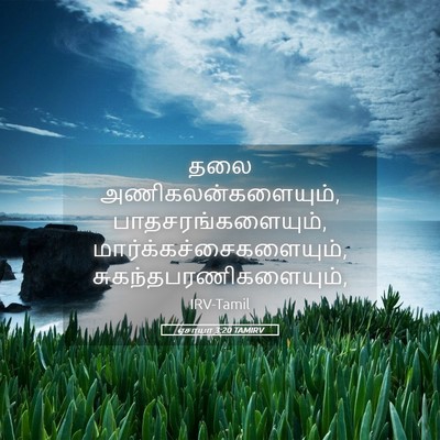 Picture 05 - ஏசாயா 3:20 TAMIRV - தலை - Bible Verse Picture