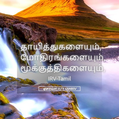 Picture 05 - ஏசாயா 3:21 TAMIRV - தாயித்துகளையும், - Bible Verse Picture