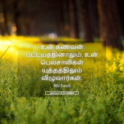 Picture 05 - ஏசாயா 3:25 TAMIRV - உன் கணவன் - Bible Verse Picture