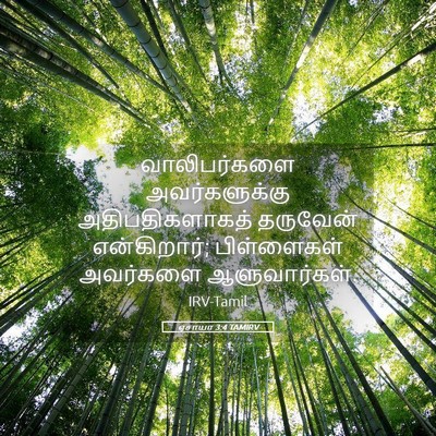 Picture 05 - ஏசாயா 3:4 TAMIRV - வாலிபர்களை - Bible Verse Picture