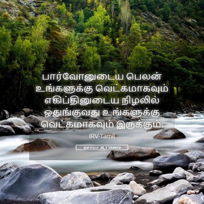 Picture 05 - ஏசாயா 30:3 TAMIRV - பார்வோனுடைய பெலன் - Bible Verse Picture