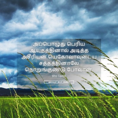 Picture 05 - ஏசாயா 30:31 TAMIRV - அப்பொழுது பெரிய - Bible Verse Picture