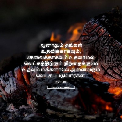 Picture 05 - ஏசாயா 30:5 TAMIRV - ஆனாலும் தங்கள் - Bible Verse Picture